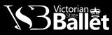 Vsb_Logo_OnBlack (2)